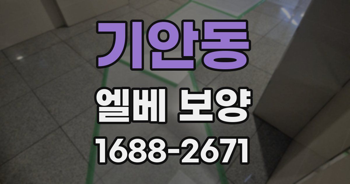 기안동 엘베 보양