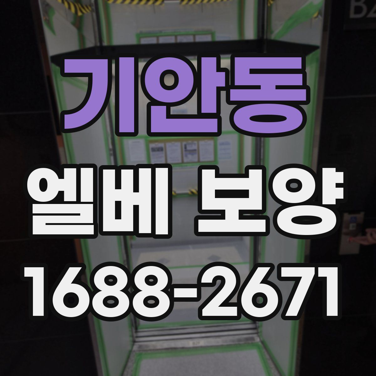 기안동 엘베 보양