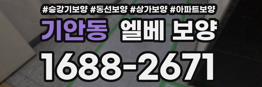 기안동 엘베 보양