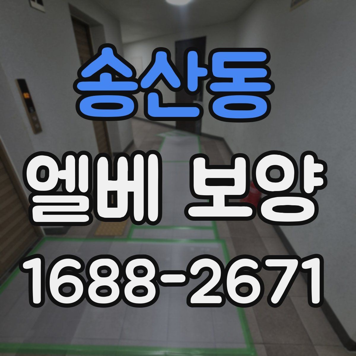 송산동 엘베 보양 실내 인테리어 공정과 함께 보호하는 방법