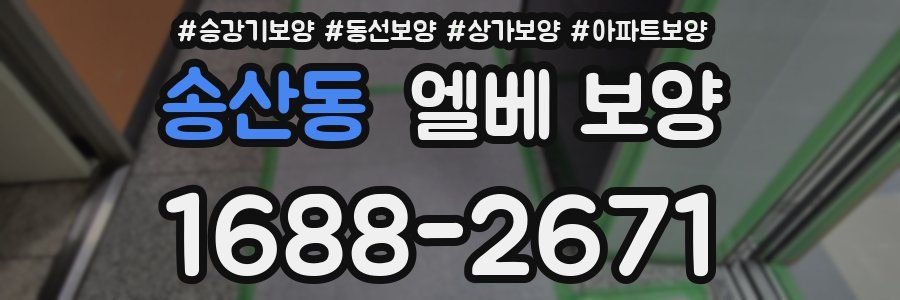 송산동 엘베 보양