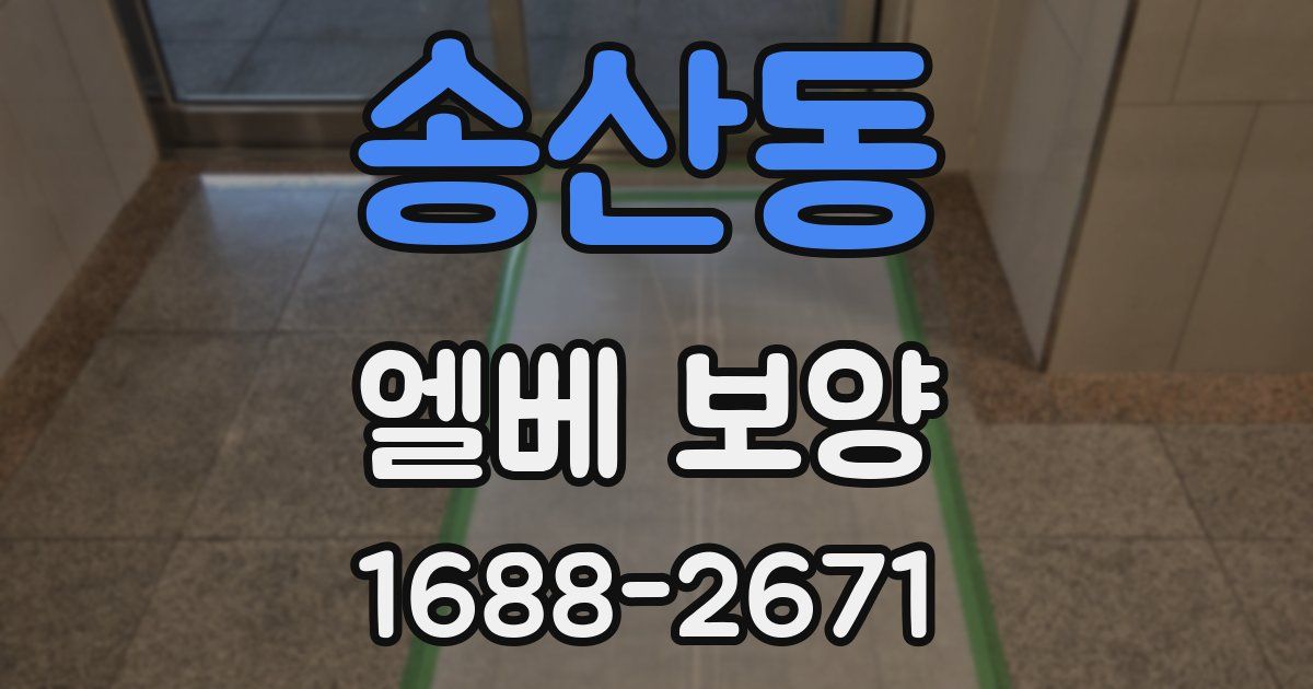 송산동 엘베 보양