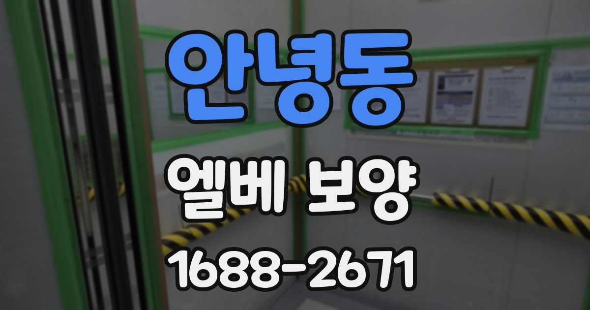안녕동 엘베 보양