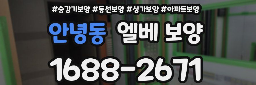 안녕동 엘베 보양