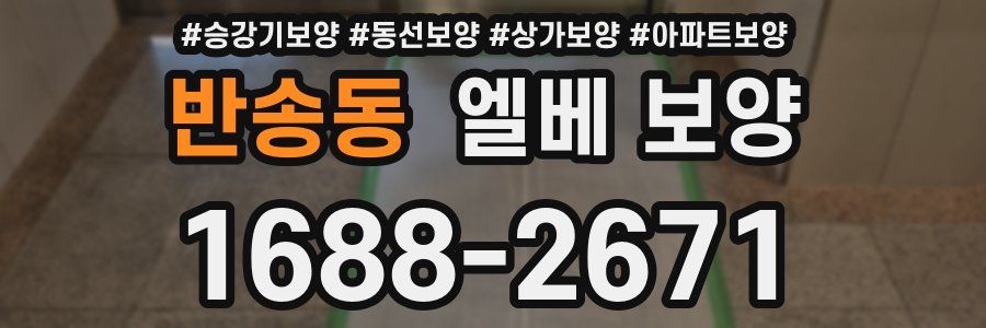 반송동 엘베 보양