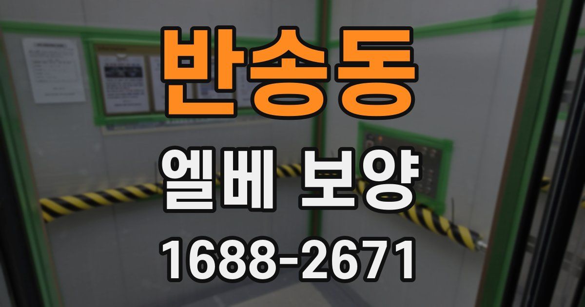 반송동 엘베 보양