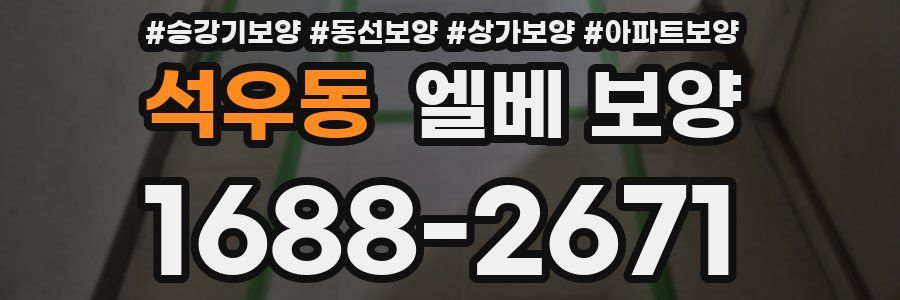 석우동 엘베 보양