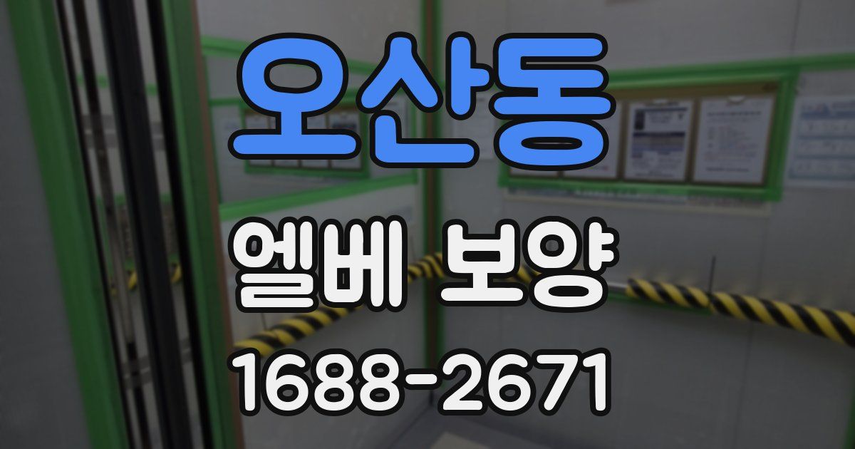 오산동 엘베 보양