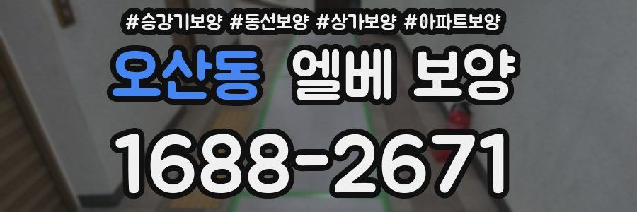 오산동 엘베 보양