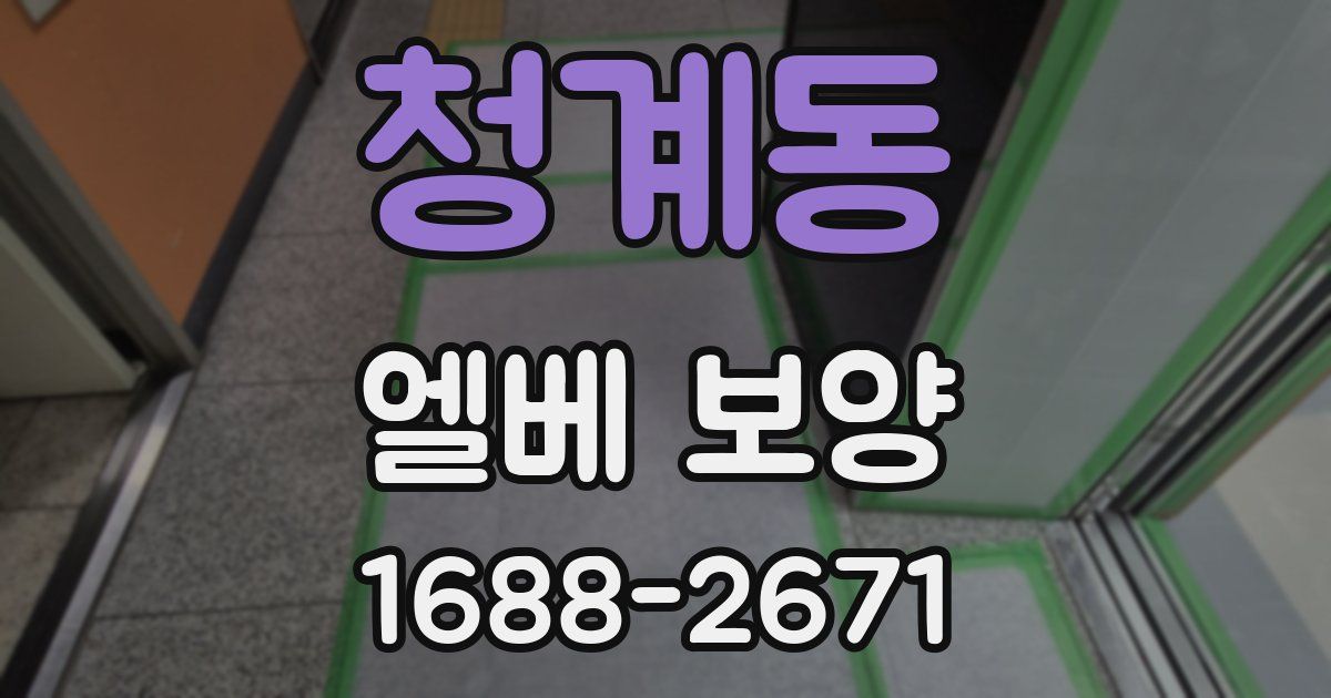 청계동 엘베 보양