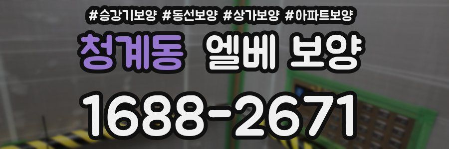청계동 엘베 보양