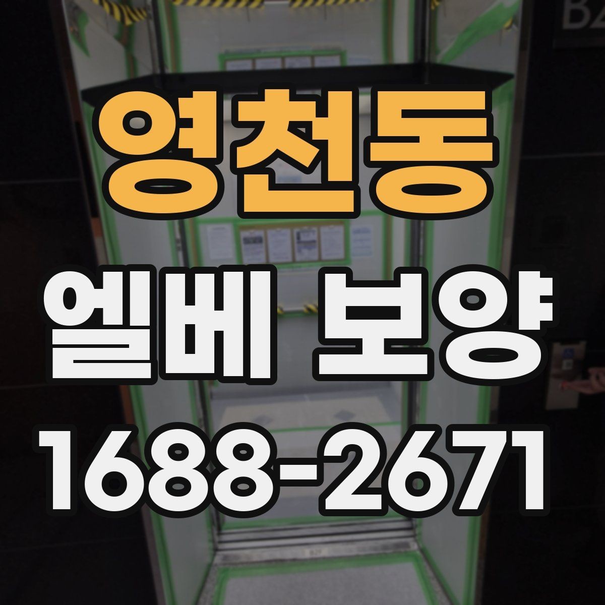 영천동 엘베 보양 보양 사진으로 남기는 이유