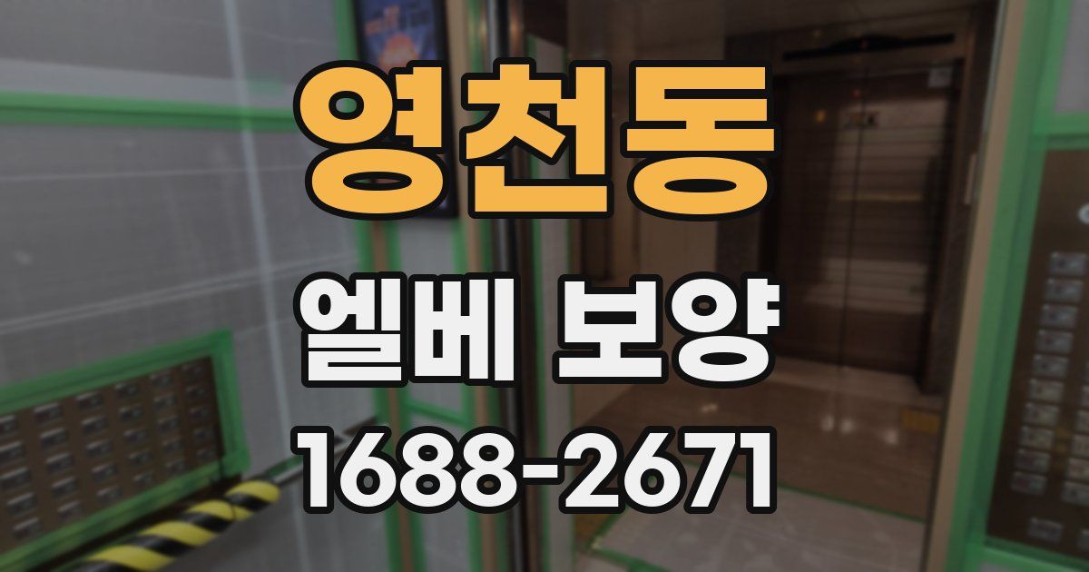 영천동 엘베 보양
