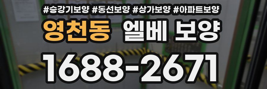 영천동 엘베 보양