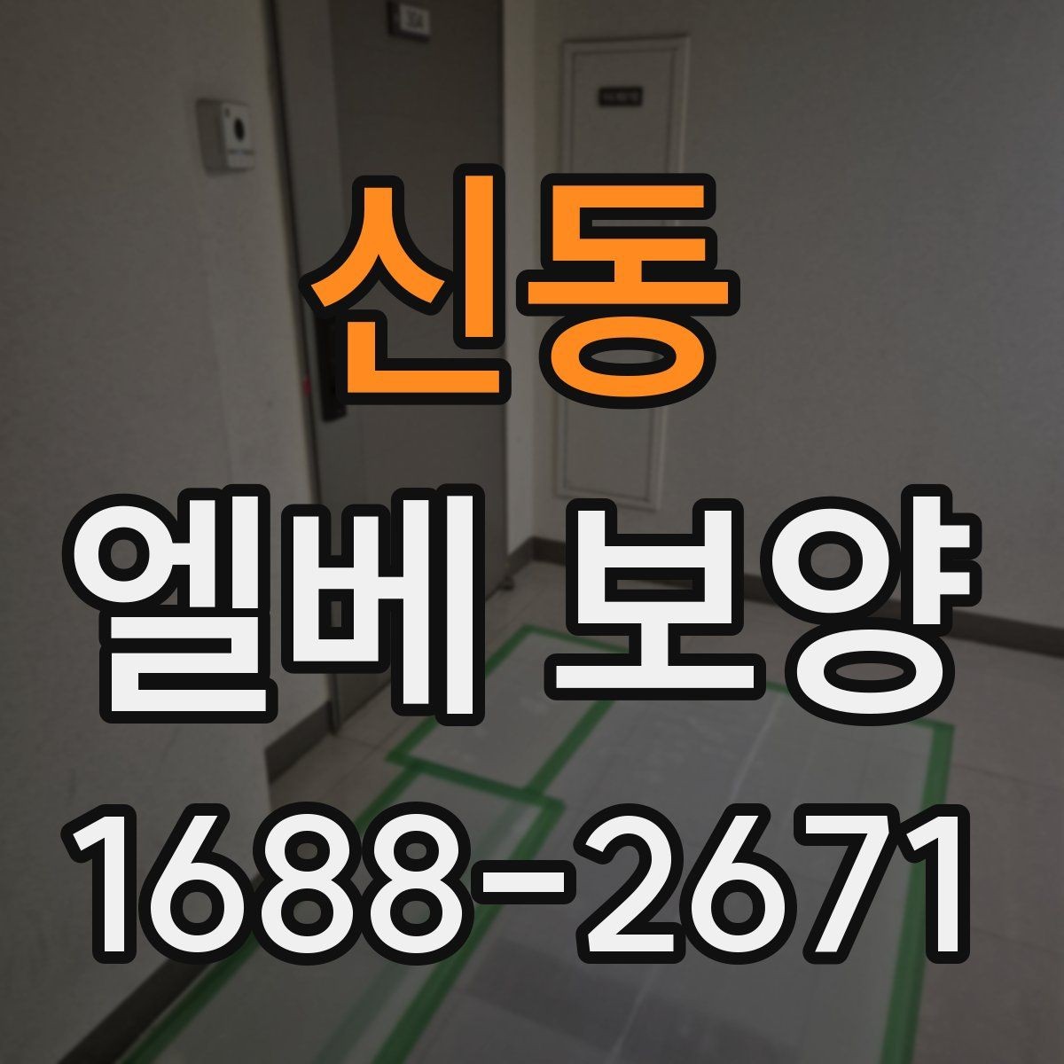 신동 엘베 보양 자재별 장단점과 현장 적용 정리