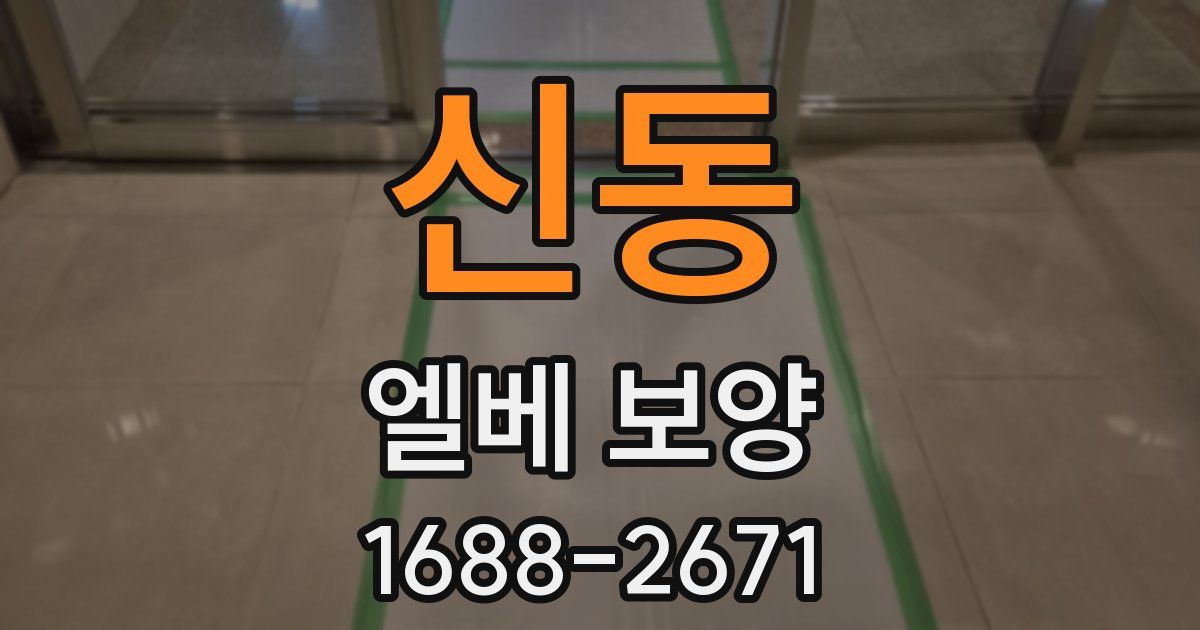 신동 엘베 보양