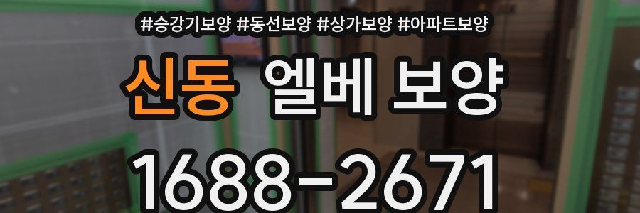 신동 엘베 보양