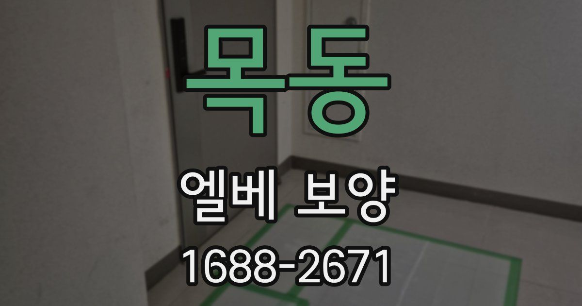 목동 엘베 보양