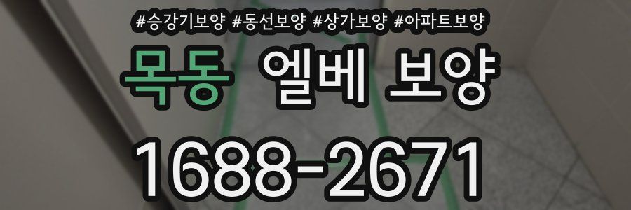 목동 엘베 보양