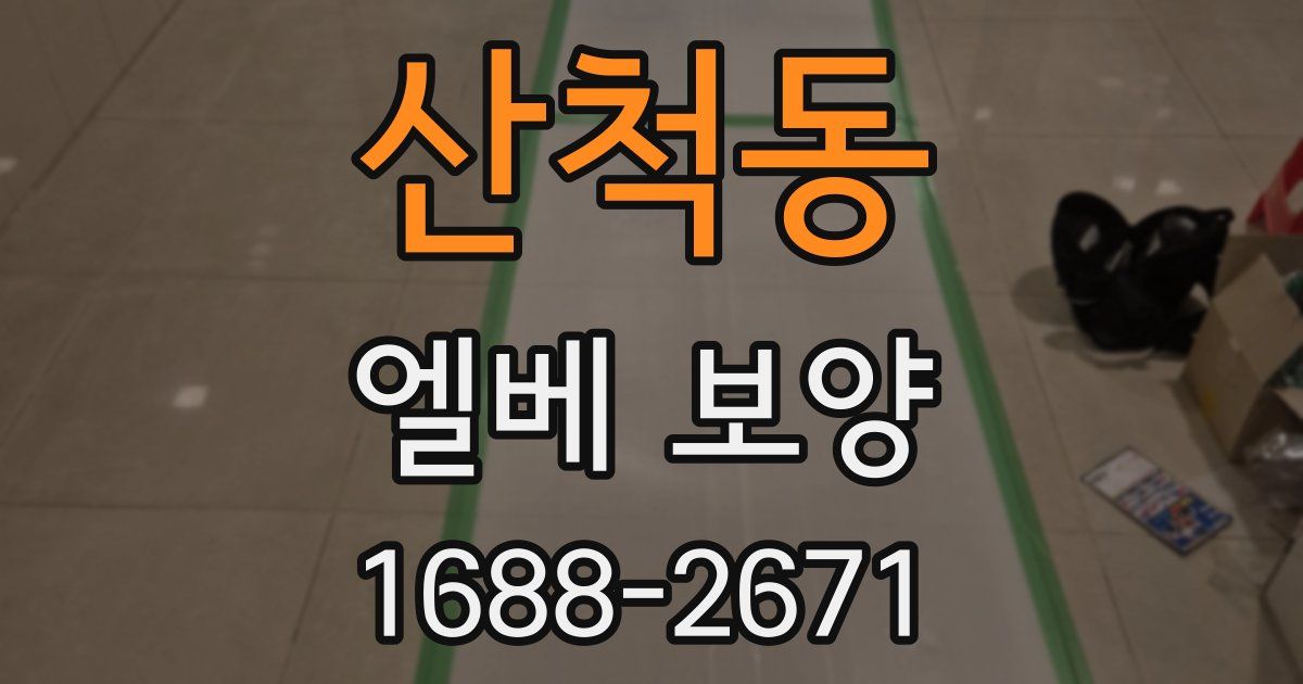 산척동 엘베 보양