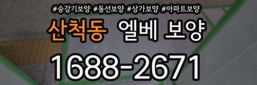산척동 엘베 보양