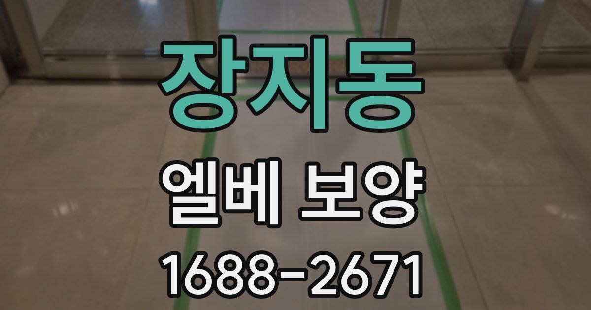 장지동 엘베 보양