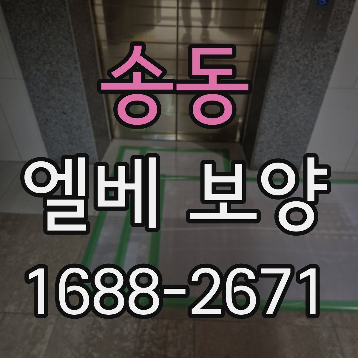 송동 엘베 보양