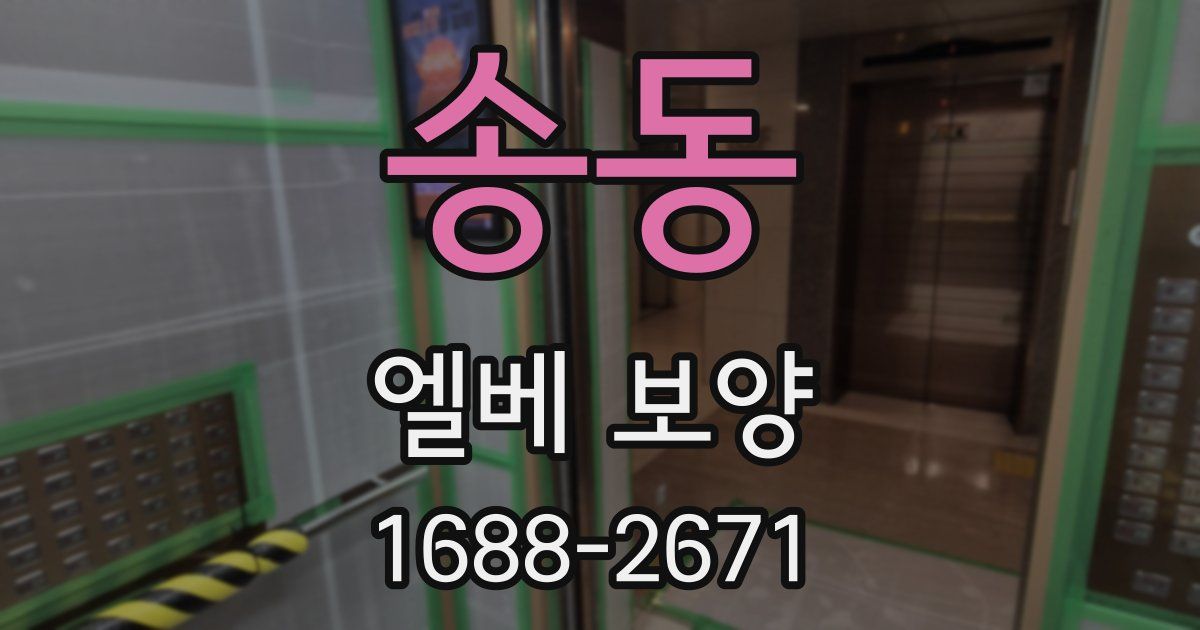 송동 엘베 보양