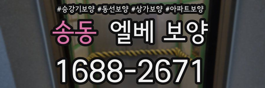 송동 엘베 보양