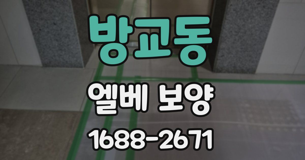 방교동 엘베 보양