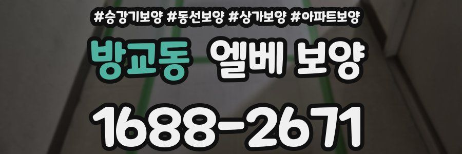 방교동 엘베 보양