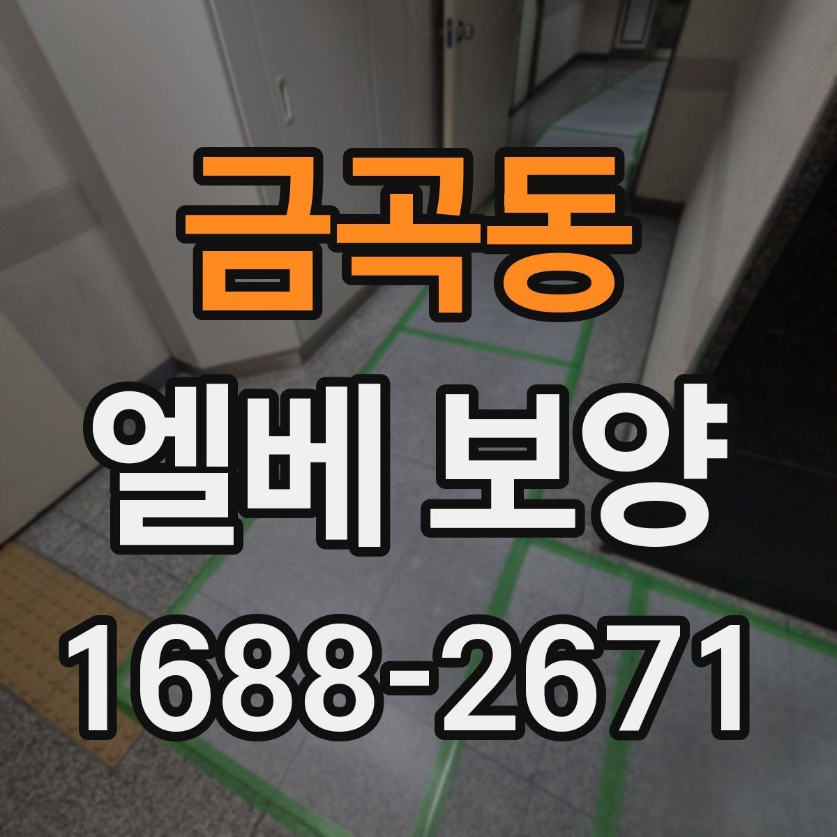 금곡동 엘베 보양 시트와 판넬을 구분해 쓰는 적용 기준