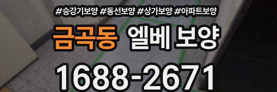 금곡동 엘베 보양