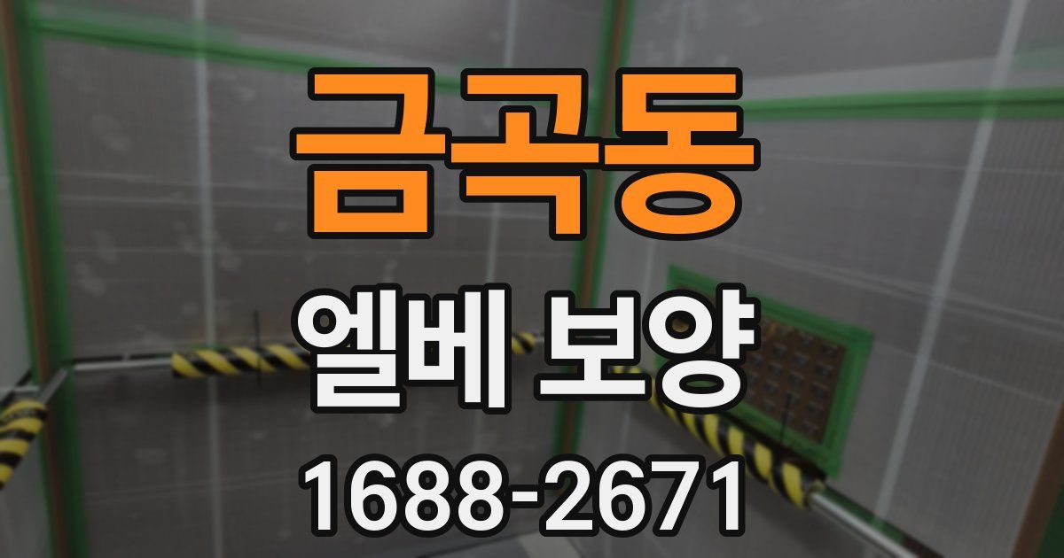 금곡동 엘베 보양