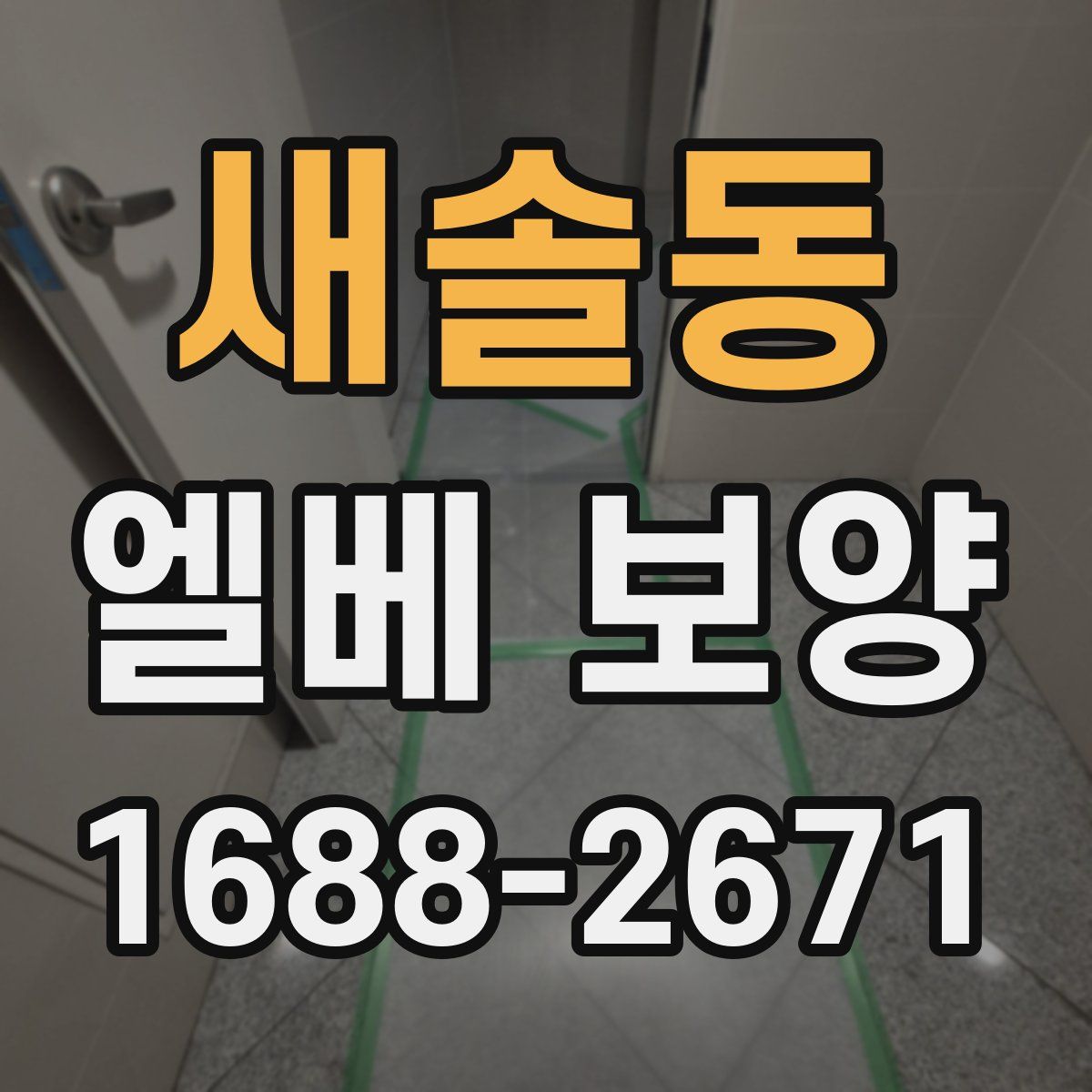 새솔동 엘베 보양