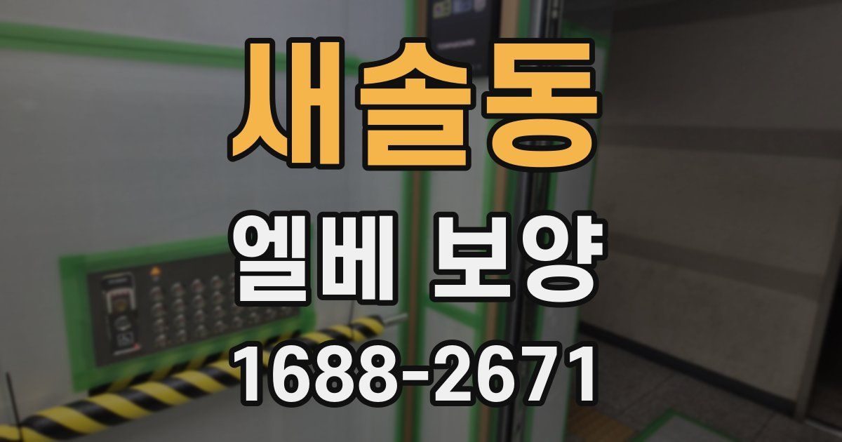 새솔동 엘베 보양
