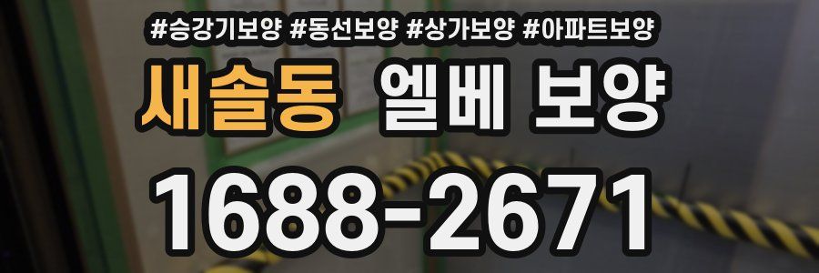 새솔동 엘베 보양
