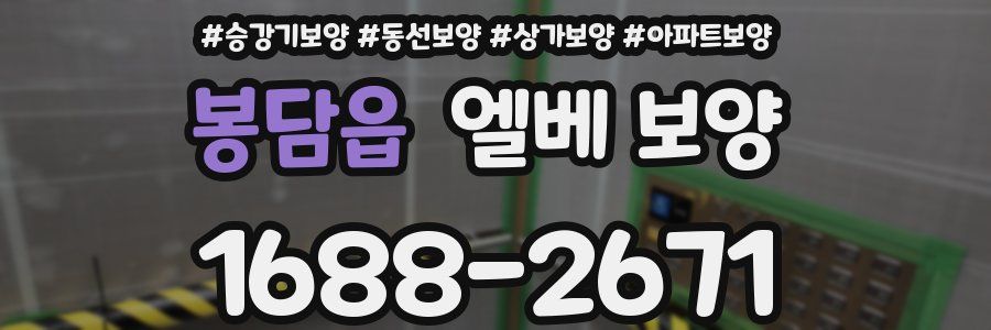 봉담읍 엘베 보양