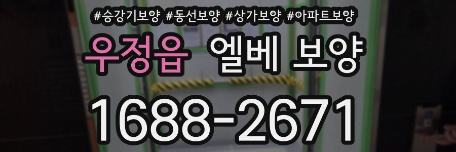 우정읍 엘베 보양