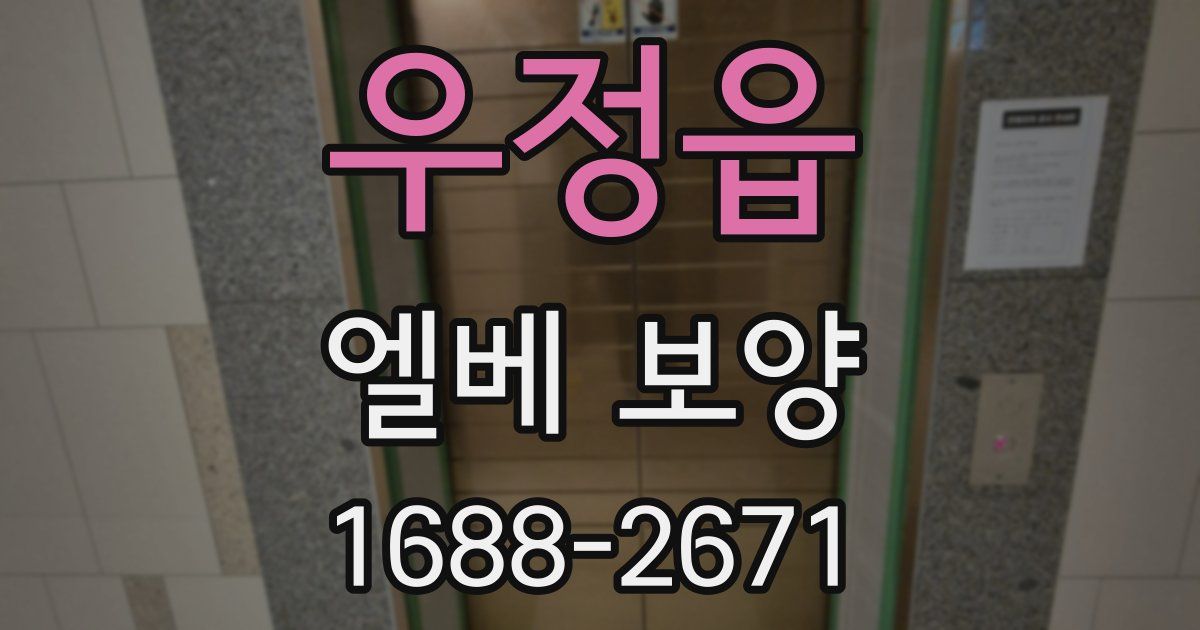 우정읍 엘베 보양