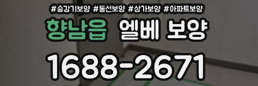 향남읍 엘베 보양