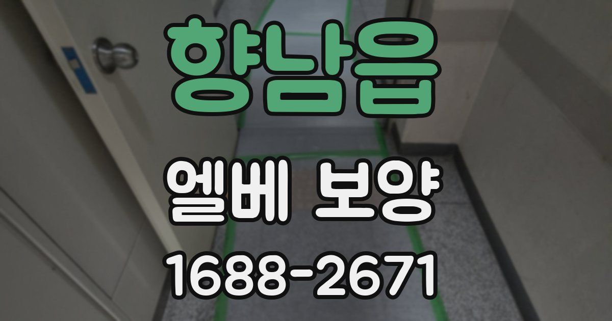 향남읍 엘베 보양