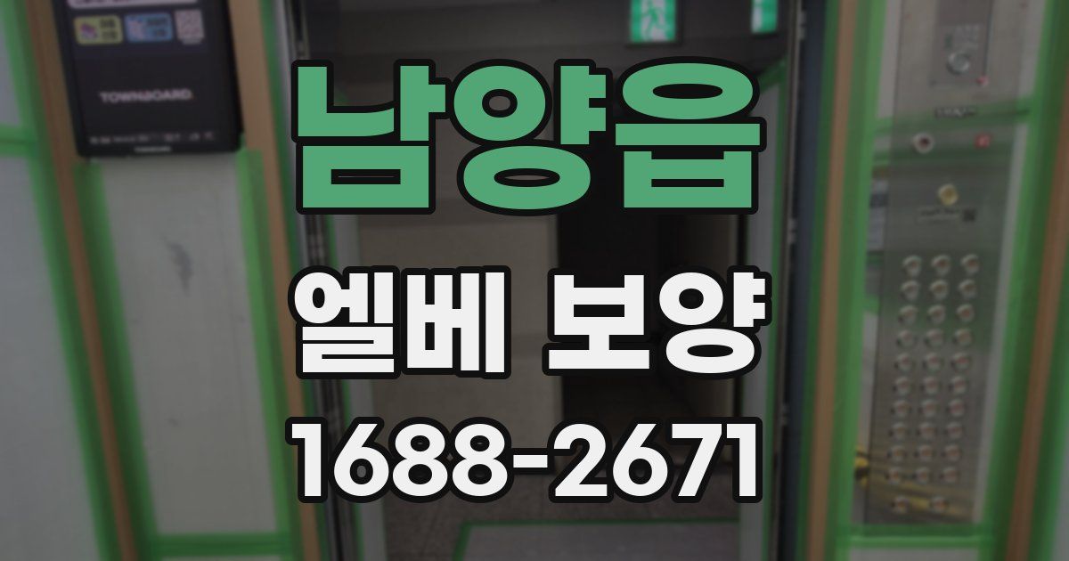 남양읍 엘베 보양