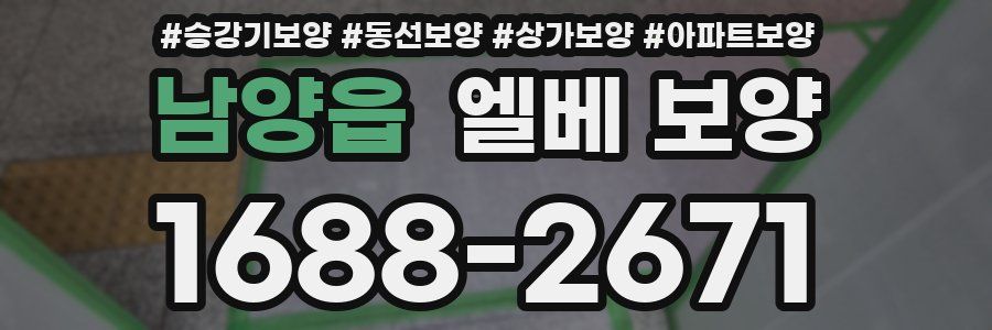 남양읍 엘베 보양