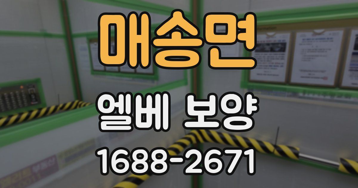 매송면 엘베 보양
