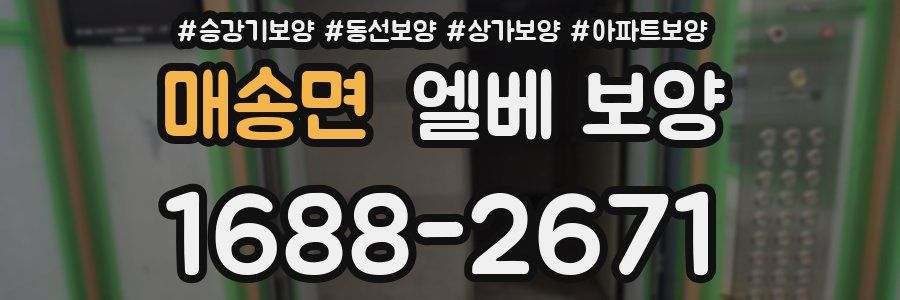 매송면 엘베 보양