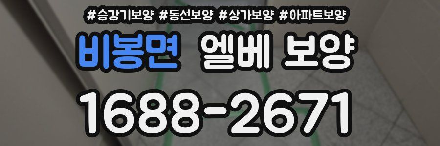 비봉면 엘베 보양