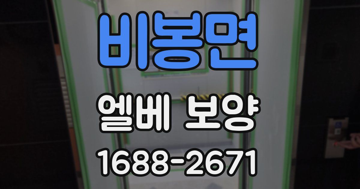 비봉면 엘베 보양