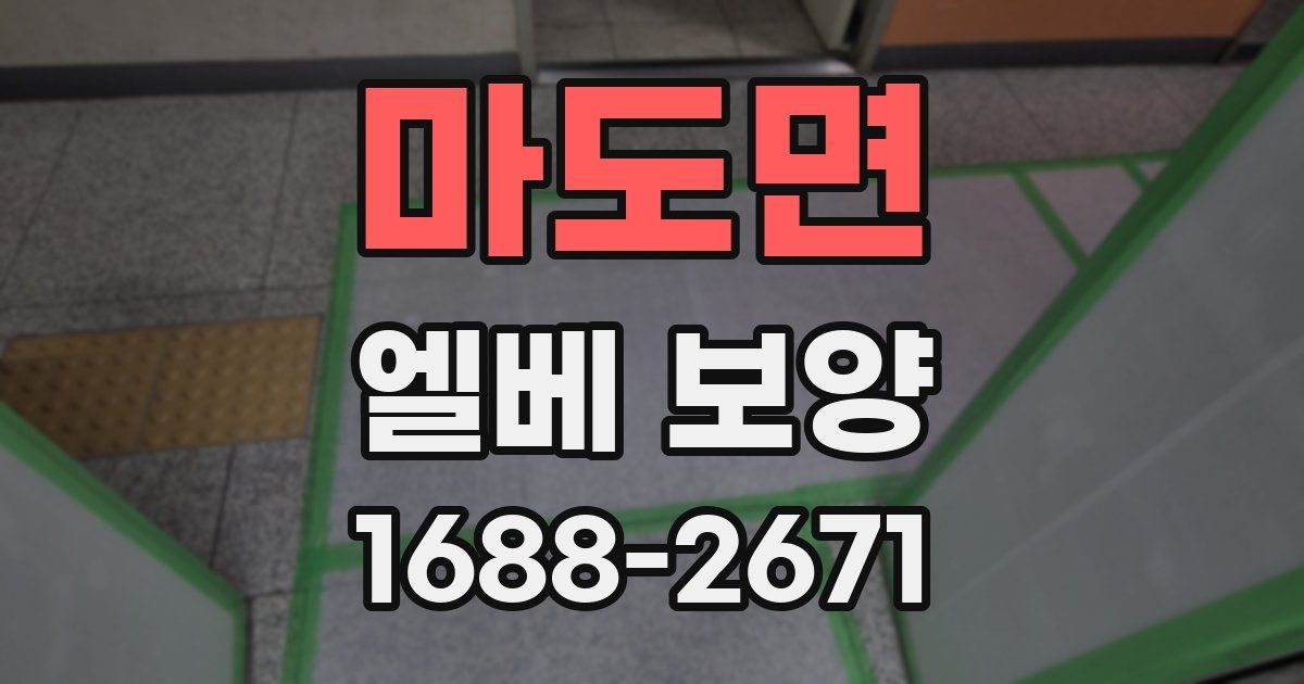 마도면 엘베 보양