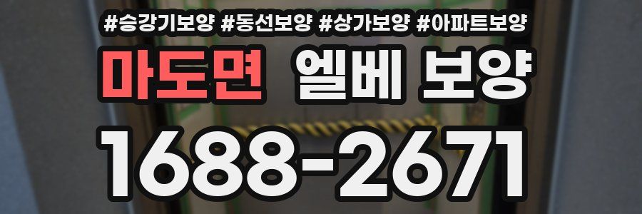 마도면 엘베 보양